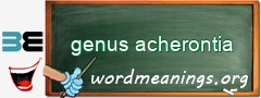 WordMeaning blackboard for genus acherontia